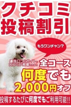 口コミ2000円割引